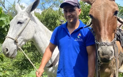 The cost of a coffee can improve the lives of the horses – and the people – who transport it